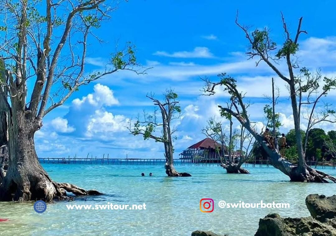 Batam Bintan Vacation Package