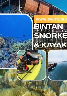 Bintan Snorkeling Trip
