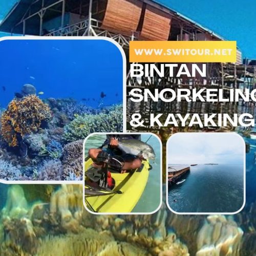 Bintan Snorkeling Trip