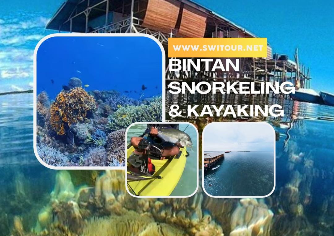 Bintan Snorkeling Trip