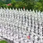 Bintan Trip Package
