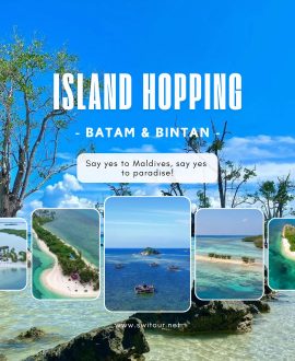 Island Hopping