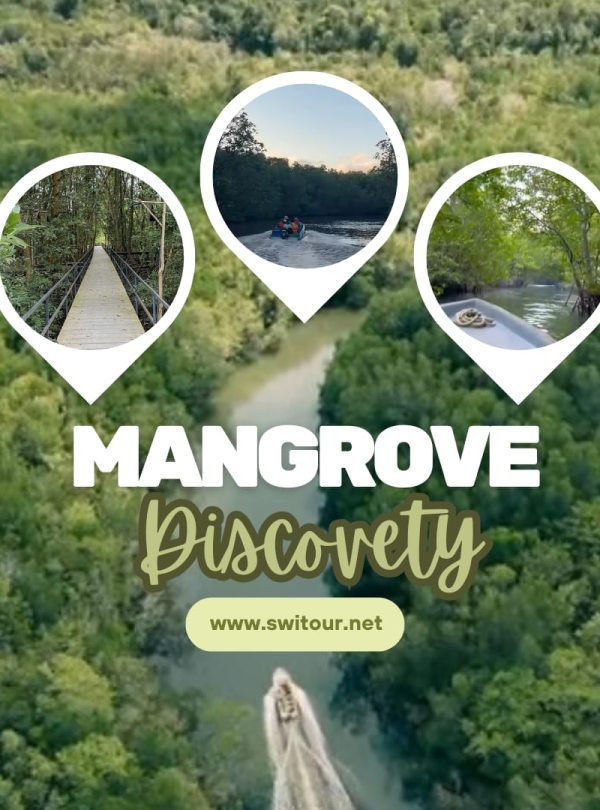 Mangrove Discovery