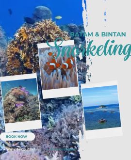 Snorkeling
